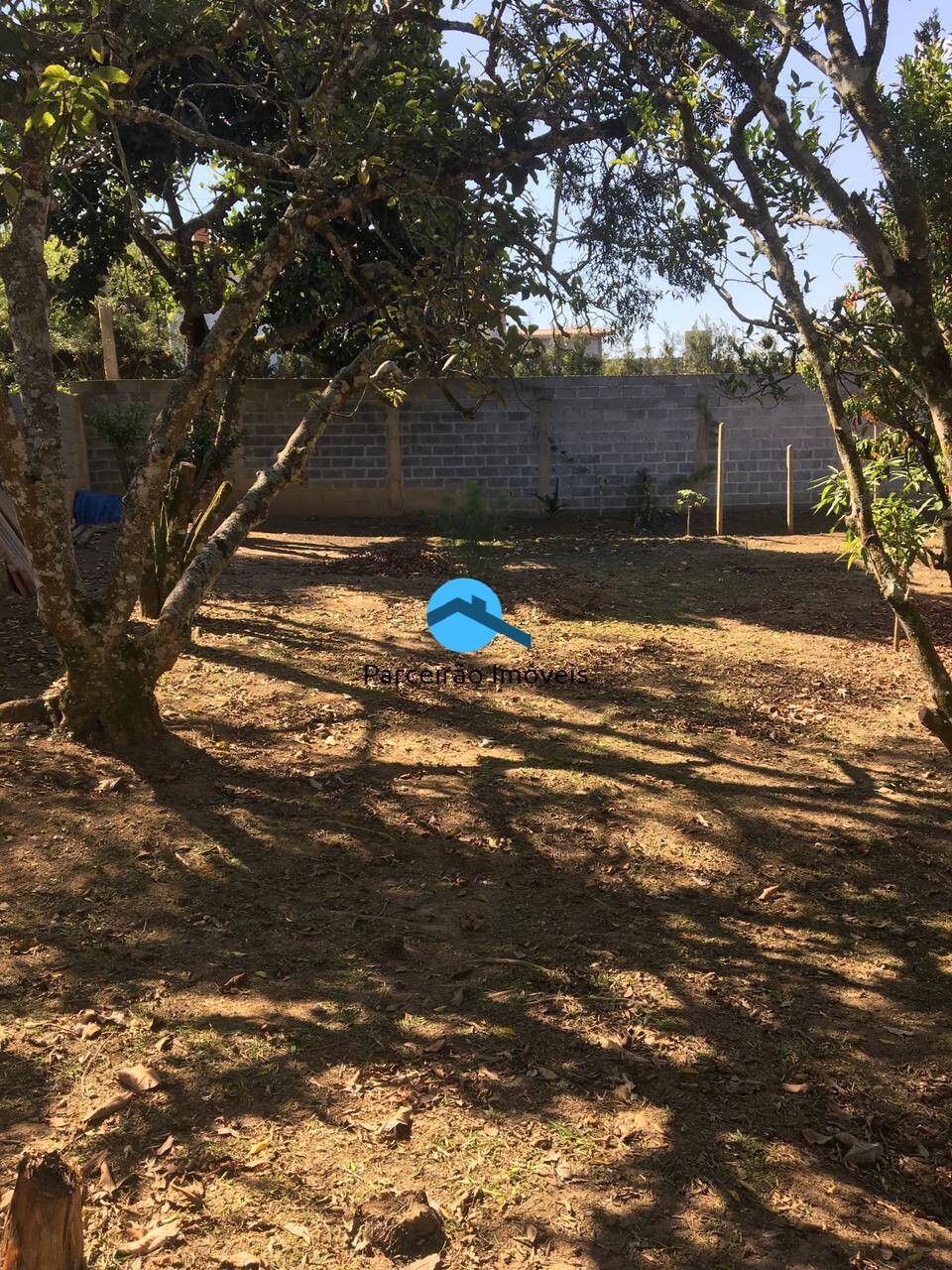 Chácara à venda com 4 quartos, 3300m² - Foto 4